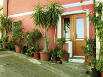 haus mit vorgarten