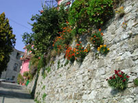 il muro